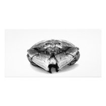 New England Rock Crab Photo Card