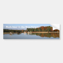 New Forest bumper sticker