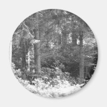 new forest fridge magnet