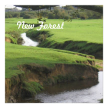 New Forest Personalized Invitation