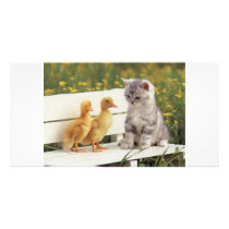New Friends Photo Cards