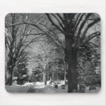 New Hampshire Winter Scene-Mousepad