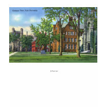 New Haven, CTYale University Campus View Tshirt