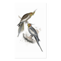 New Holland Parrakeet by Edward Lear Business Card