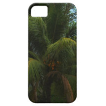 NEW iphone5  Coconut Palm  Cover Case For The iPhone 5