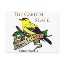 New Jersey Garden State Golden Finch Post Cards