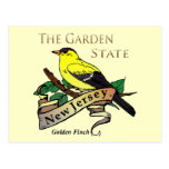 New Jersey Garden State Golden Finch Postcard