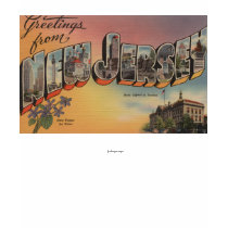 New Jersey (State Capital/Flower) Tee Shirts
