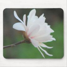 New Magnolia Centennial  Bloom Mouse Pad