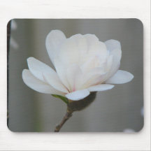 New Magnolia Centennial  Bloom Mouse Pads