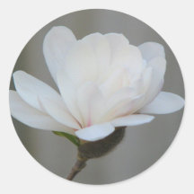 New Magnolia Centennial Bloom Stickers