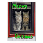 New Meowy Christmas Card
