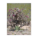 New Mexico Cholla in Bloom Post Card