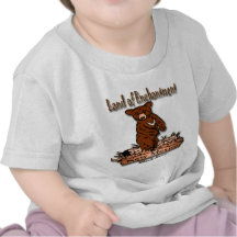 New Mexico Land of Enchantment Bear T-shirt