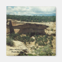 New Mexico Magnet