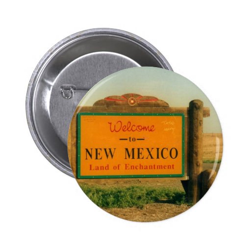 New Mexico Sign Pin