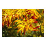 New Mexico Stripes Photo Print