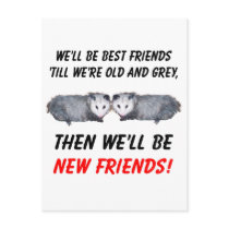 New Old Friends with Possums