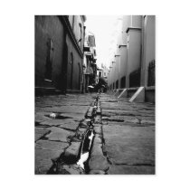 New Orleans Alley Post Cards