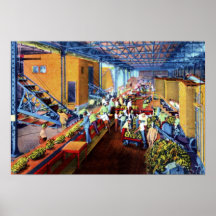 New Orleans Louisiana Banana Market Posters