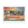 New Orleans, Louisiana - Large Letter Scenes Post Card