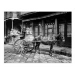 New Orleans Milk Cart: 1903 Post Card