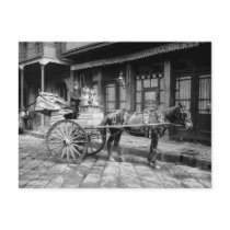 New Orleans Milk Cart: 1903 Post Card