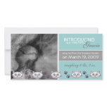 Pet Photo Cards