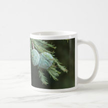 New Pine Cones Mug
