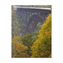 New River Gorge Bridge, New River Gorge Postcards