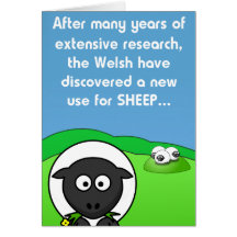 New Use 4 sheep Greeting Cards