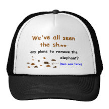 'New' World Order Hat