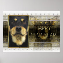 New Year - Golden Elegance -Australian Kelpie Jude Print
