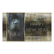 New Year - Golden Elegance - Newfoundland