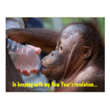 New Year's Resolution Making Time for Fun Postcards