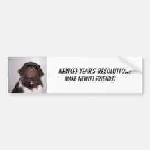 New Year's Resolution Newf Bumper Sticker
