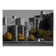 New York Autumn Note Card