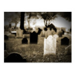 New York Cemetery Post Card