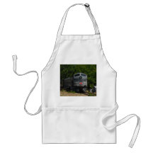 New York Central Locomotive Apron