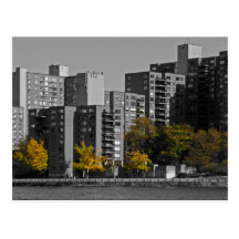 New York City Autumn Postcard