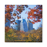 New York City magnet