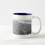 New York from the Empire State Building Mug