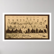 New York Giants Baseball 1913 Poster