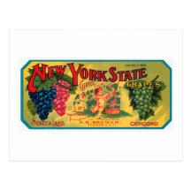 New York State Grapes Post Card