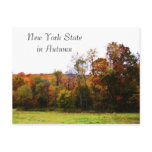 NEW YORK STATE postcard