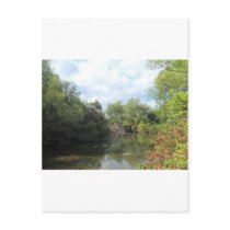 New York's Amazon Postcard