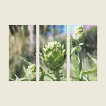 New Zealand Artichoke canvas prints