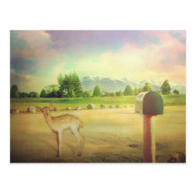 New Zealand bambi dear Postcard