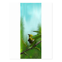 New Zealand Bellbird Postcard
