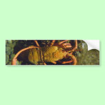New Zealand Crayfish bumper stickers